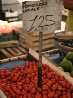 L&M Home Posie POM: Tomato Leaf / Lemon Peel / Moss Candle 250g Cheap